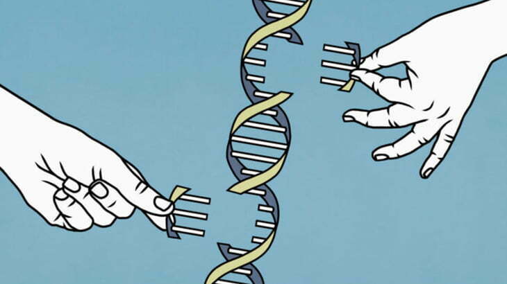 【閲覧注意】ヤバい状態の人間たち（画像）