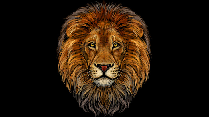 このファッション、理解できない（動画）