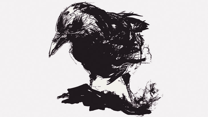 【微閲覧注意】カラス「ウサギの子供おるやん！殺そ！」（動画）