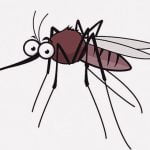 蚊さん、体毛が濃い人間の血は吸えない模様（動画）