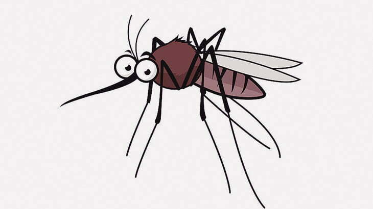 蚊さん、体毛が濃い人間の血は吸えない模様（動画）
