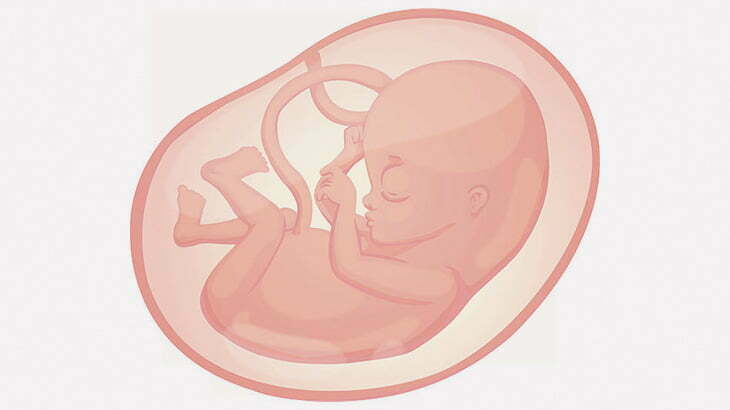 【閲覧注意】医者「妊娠5ヶ月で中絶された胎児を紹介します」（動画）