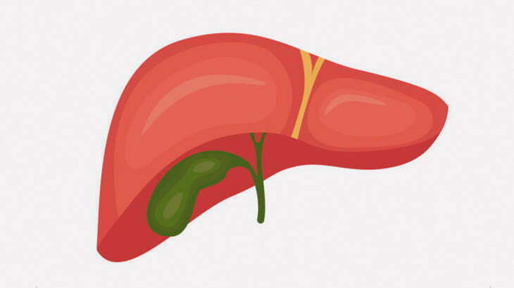 【微閲覧注意】摘出された「胆のう」、切り開いてみた結果･･･（動画）