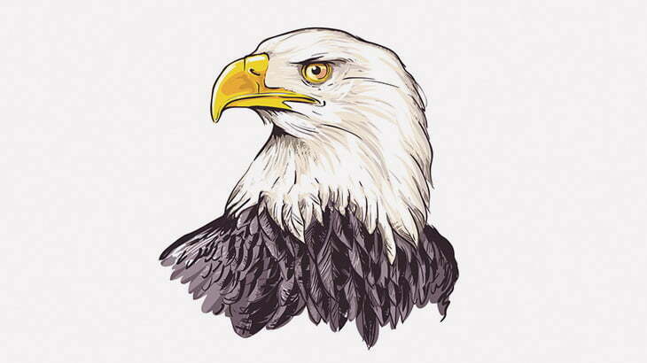 【微閲覧注意】ワシ「ヘビ食べよ！」（動画）