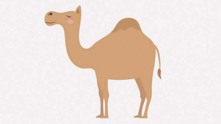 ラクダさん、謎の体勢のまま動けなくなってしまう（動画）