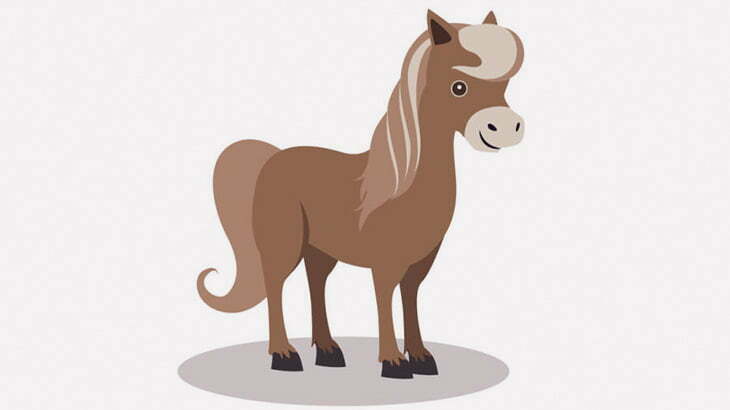 セックスしようとする馬から精液を採取するお仕事（動画）