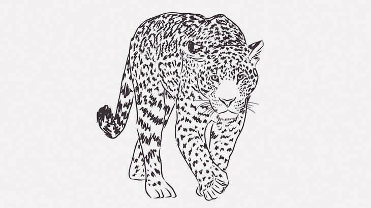 【インド】地方裁判所に「ヒョウ」が出廷（動画）