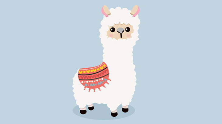 産まれたばかりのアルパカの赤ちゃん、めっちゃ細い（動画）