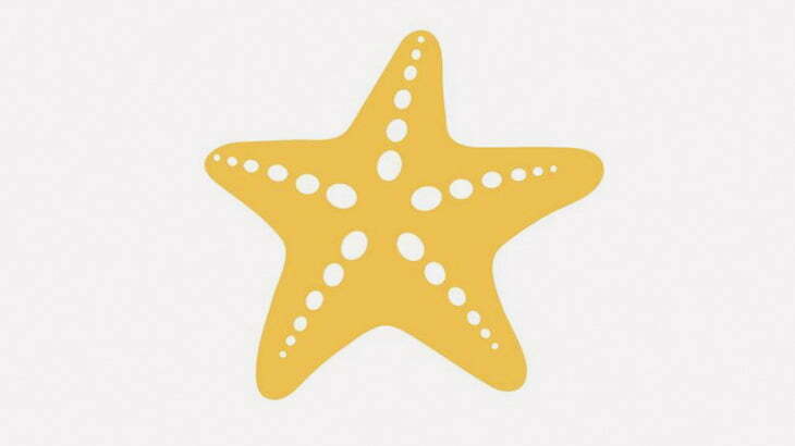 浜辺をヒトデがめちゃくちゃ歩いてた･･･（動画）