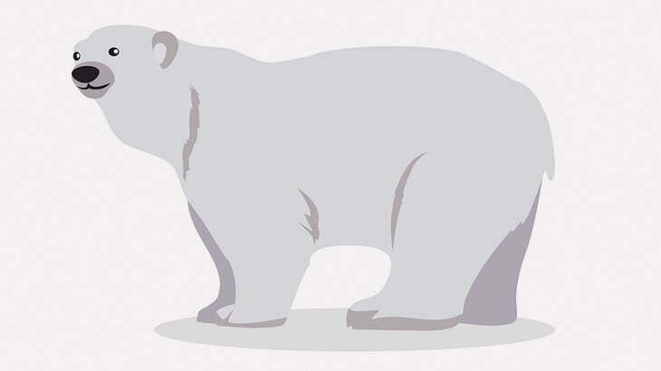 【微閲覧注意】ホッキョクグマ「クジラのチンチン引きちぎって遊ぼ！」（動画）