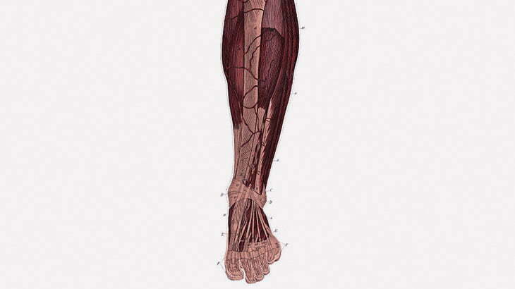 【閲覧注意】病院に搬送されてきた男性の脚、皮膚ズル剥け･･･（動画）