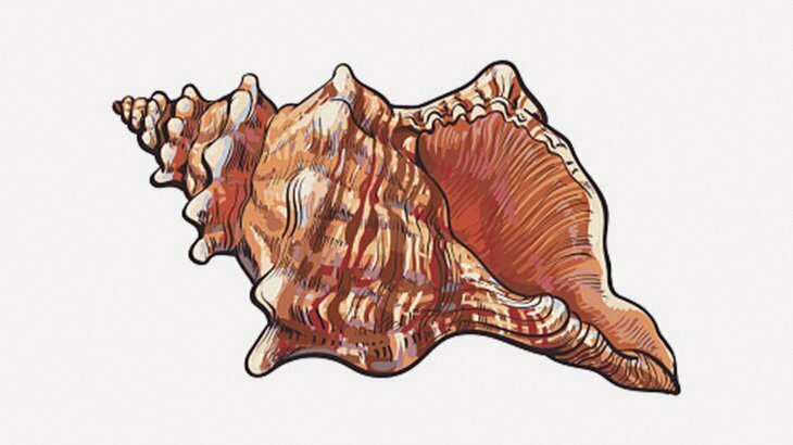 巻き貝にめっちゃ見られてる･･･（動画）