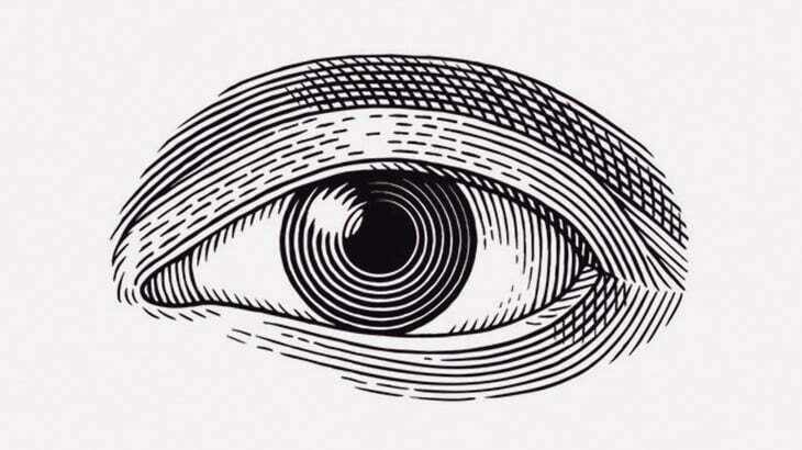 【閲覧注意】目に木のツルが引っかかって負傷 → 眼球破裂･･･（画像）