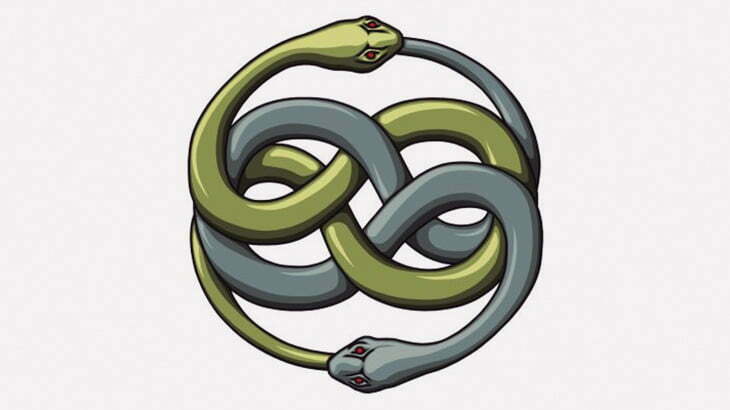 【閲覧注意】クソデカいヘビがクソデカいヘビ食ってた･･･（動画）