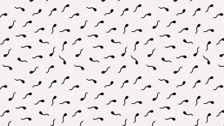 精液を顕微鏡で見てみた（動画）