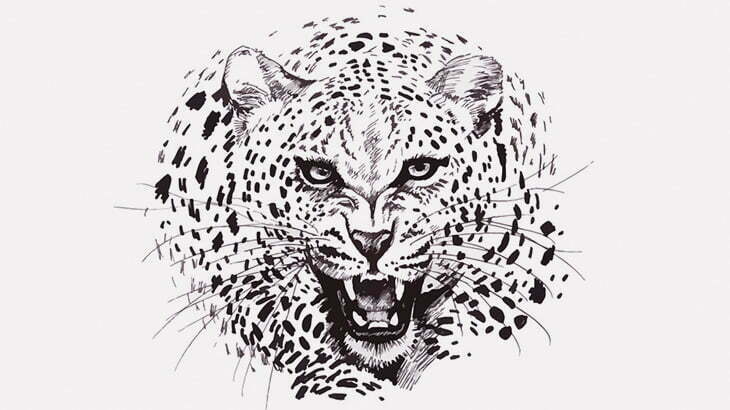 【閲覧注意】ヒョウに襲われた男、体をズタズタにされてしまう（画像）