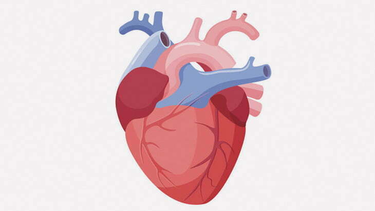 【閲覧注意】殺し慣れてる奴に殺されたんだろうなっていう死体が発見される･･･（動画）