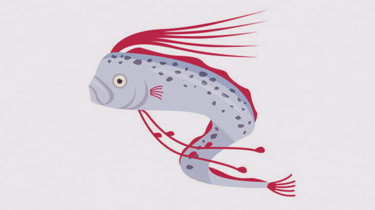 水面をリュウグウノツカイが泳いでた（動画）