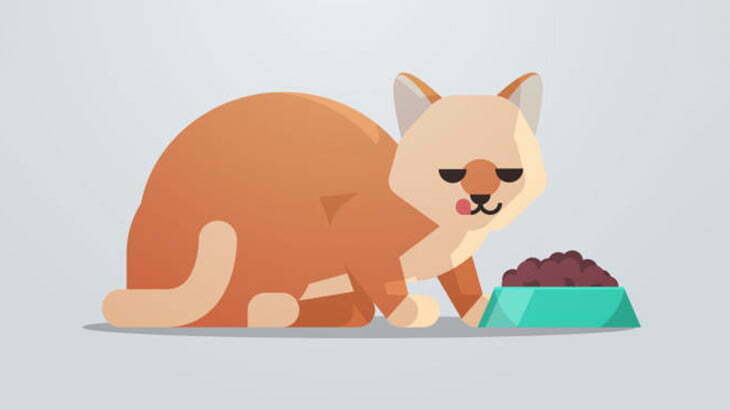 【閲覧注意】兵士の死体を食らう猫。ドローン視点（動画）