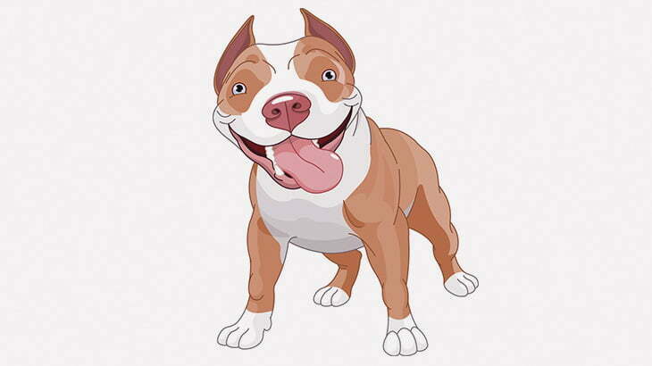 アレルギー症状が出たピットブルさん、顔パンパンに腫れ上がる（動画）