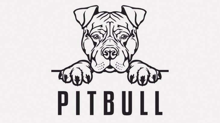 【閲覧注意】この死体、ピットブルに殺られたらしい･･･（動画）