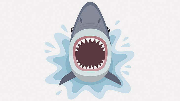 【閲覧注意】14歳の女の子、サメに左腕を食いちぎられてしまう（動画）