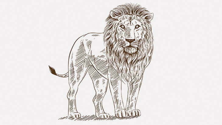 若いライオン「獲物おいしそうだなぁ」雄ライオン「何見てんだコラ！」 → 下半身不随（動画）