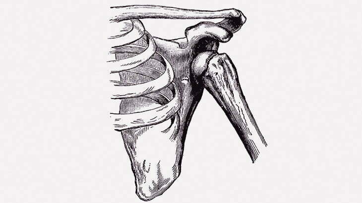 【閲覧注意】この女性の肩、とんでもないことになってる･･･（画像）