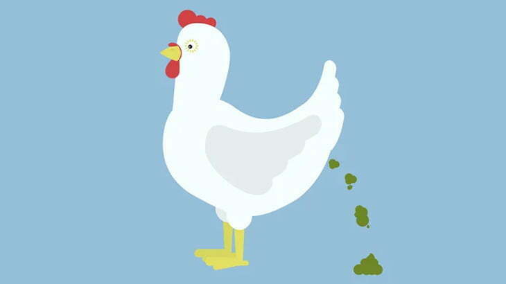 農場主「うちの農場のエネルギーは鶏のウンコです」（動画）