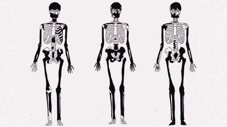 【閲覧注意】人骨コンピレーション（動画）