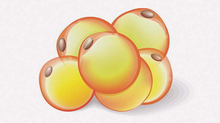 【閲覧注意】「脂肪が蓄積する」病気を発症した男の体、ボコボコ･･･（画像）