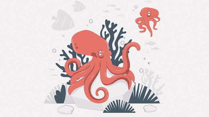 住処を奪い合う2匹のタコと突然のフグ（動画）