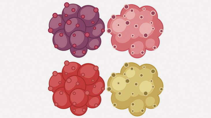 【閲覧注意】この女性の口、ヤバすぎ･･･（画像）