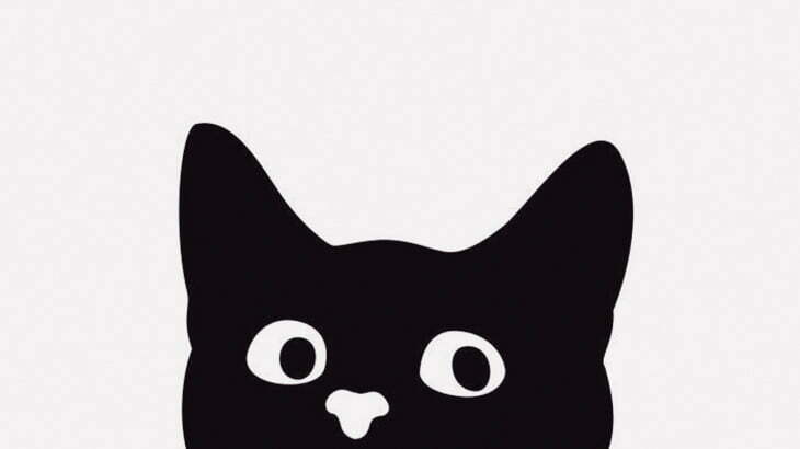 てんかん発作を起こした猫、怖い･･･（動画）