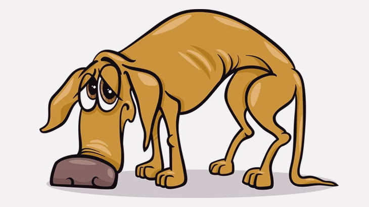 口に骨が突き刺さってた野良犬を助けてあげてみた（動画）