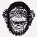 ド変態チンパンジー「人間の女おるやん！」 → チンポコを見せつける（動画）