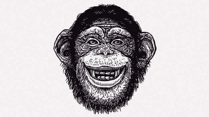 ド変態チンパンジー「人間の女おるやん！」 → チンポコを見せつける（動画）