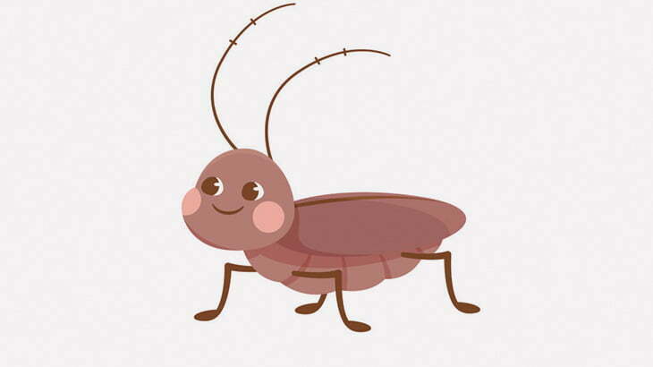 【閲覧注意】ペットのゴキブリの体が半分くらい無くなってた（動画）