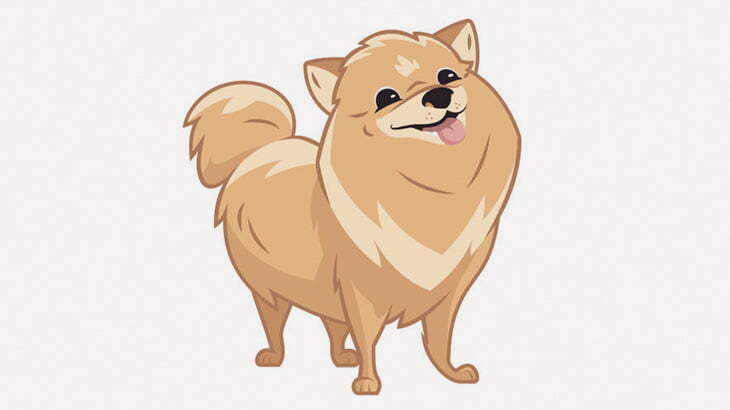 このポメラニアン、性格が悪い（動画）