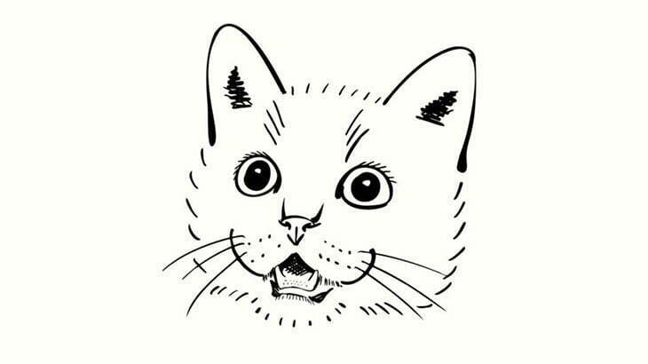 とんでもない事になってる猫みつけた（動画）