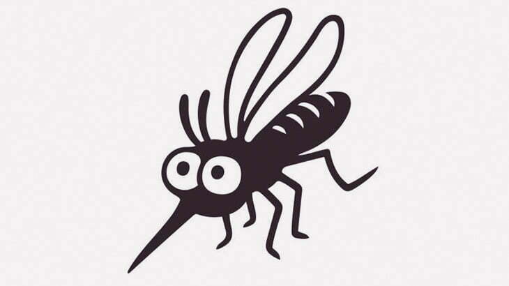 蚊「あれ？こいつの皮膚に刺さらないな」（動画）