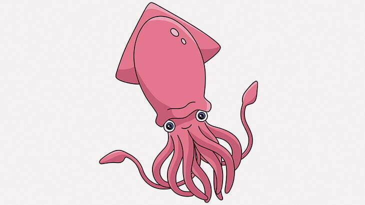 このイカ、宇宙船っぽい（動画）