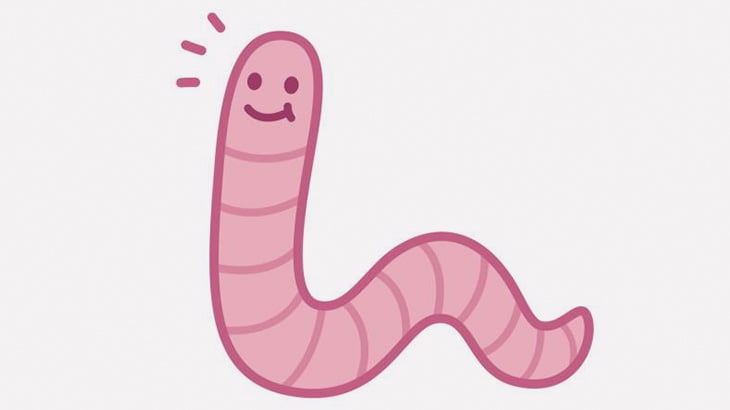 男「ミミズはこうすると簡単に捕まえられるんすよ」（動画）