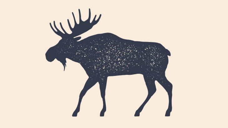 ヘラジカ「セックスしようやぁーーーー！！」（動画）