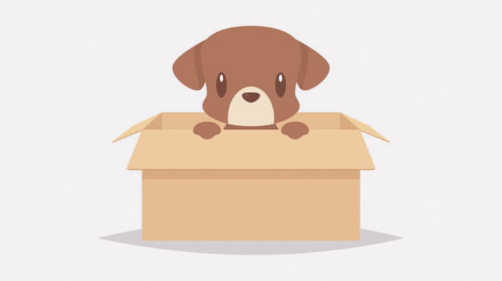 前足が異様に曲がっていた子犬、救助されて元気な姿に（動画）