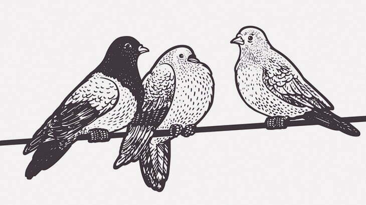 2人の男「電線に止まった鳥を鉄の棒で追い払おう！」 → 感電死（動画）