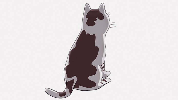 【閲覧注意】顔が2つある状態で15年も生き続けた猫「フランクとルイ」（動画）