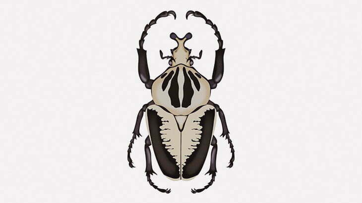 このコガネムシ、クソデカい（動画）