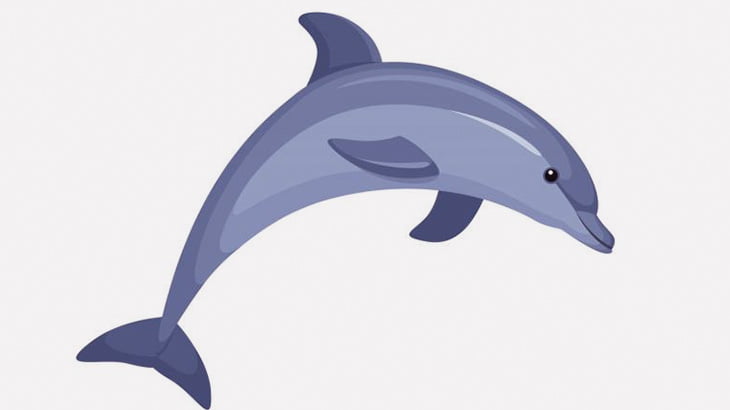 船の船首で波に乗って遊ぶイルカさん（動画）