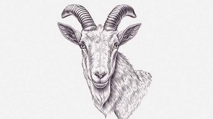 銃で撃ち抜かれたヤギ、崖をゴロゴロ転がってしまう（動画）